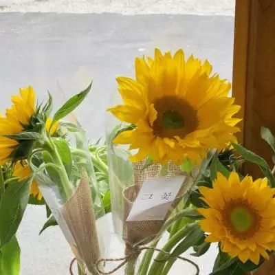 金沙集团9500截图