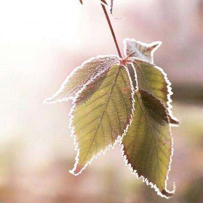 pc蛋蛋官方网站